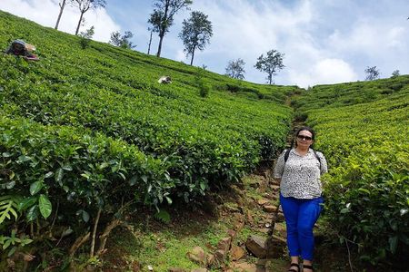 Sri lanka Week In Paradise