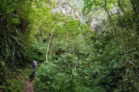 Private Tour through the Chicaque Natural Park and Forest of Fog
