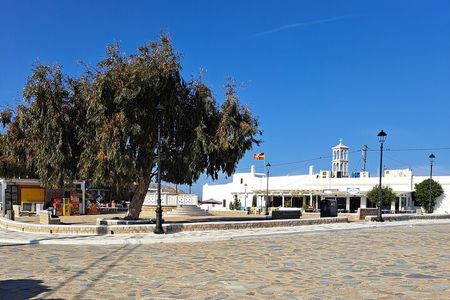 Mykonos island tour in small group up to 11 people.