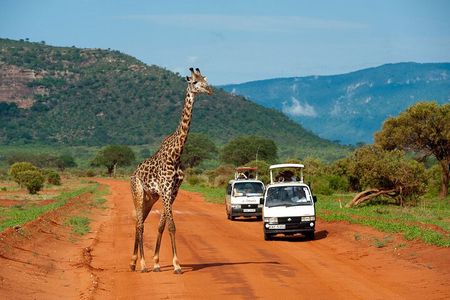 Overnight Safari to Tsavo East National Park from Mombasa/Diani