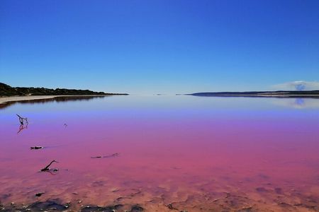 3 Day Pink Lake and Margaret River tour