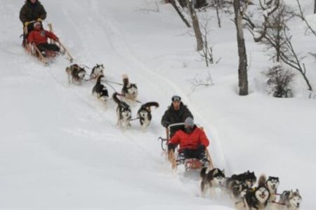 Ushuaia: White Adventure in sleighs with Huskys