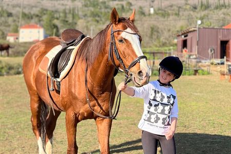 Private Horseback Riding and Family Time in Konavle Region 
