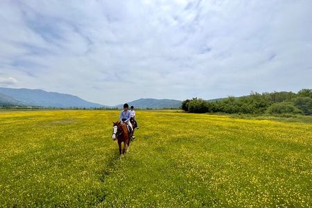 Horseback Riding Across River Ljuta with transport 