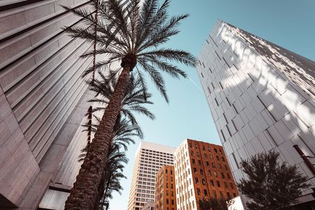 Private tour of Phoenix