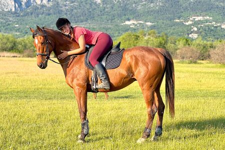 Horseback Riding Experience with transport from Dubrovnik 