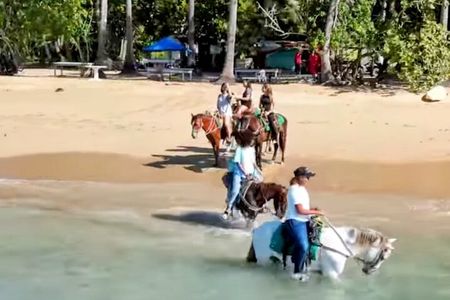 AMBER COVE-TAINO BAY Horses Beach Ride & City Sightseeing 