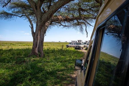 3 Days Group Safari Serengeti & Ngorongoro