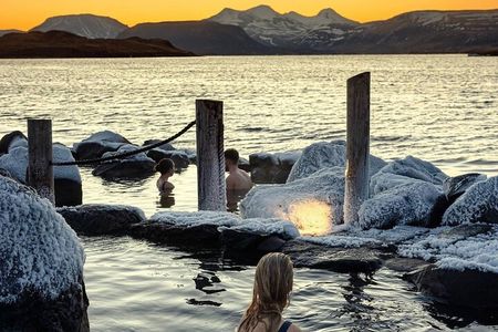 Private Golden Circle Tour (1-7pax)