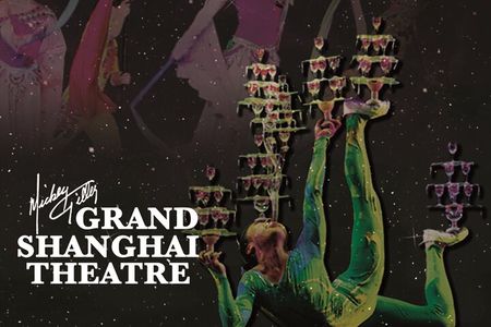 Amazing Acrobats: Grand Shanghai Circus Show