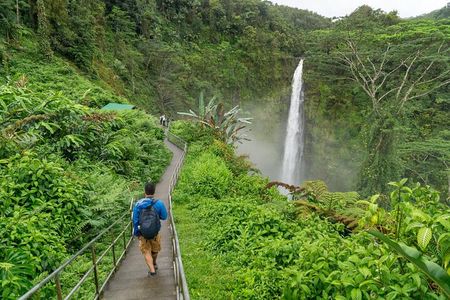 Hilo Highlights Private Sightseeing Tour