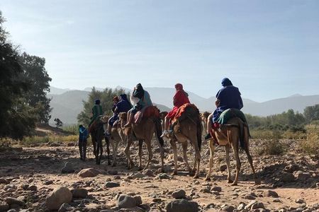 Live a unique experience on the Agafay Desert. 