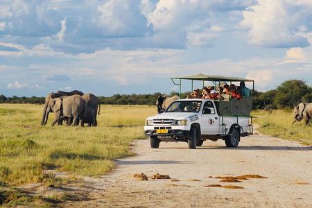 Safari in Etosha national park with professional tour guides born in Etosha.