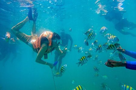 Adventure full day Isla Barú + Mangroves + Snorkel + bioluminescent plankton