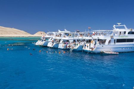 Ras Mohamed & White Island Snorkeling or Scuba Diving trip
