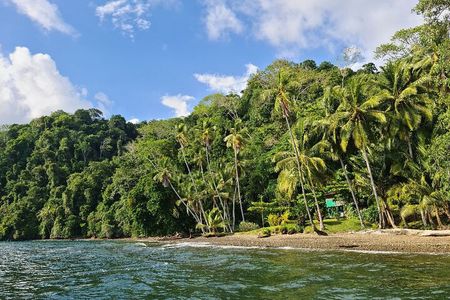 3 Days Kayak & Camping Excursionon in Golfo Dulce 