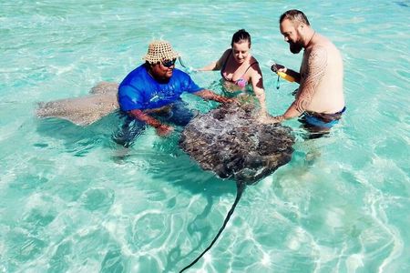 Snorkeling excursion and encounter with marine fauna in Moorea
