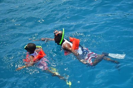 Boatride & Snorkeling then Margaritaville Hipstrip Activity 
