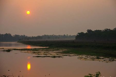 Experience the Thrill of the Wild: Chitwan Jungle Safari( 2N3D)