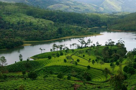 3 Nights Private Kerala Premium Package by Sanguine Holidays