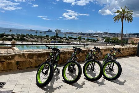  Exclusive Fat Tire E-Bike Tour in Palma 