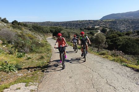 Small Villages and Cretan Nature. E-Bike tour