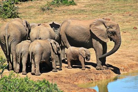 4 Day Garden Route and Addo National Park Tour from Cape Town