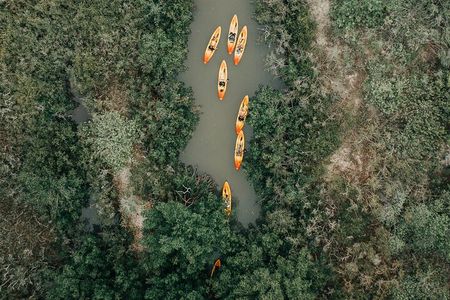 Thousand Islands Mangrove Tunnel Kayak Tour with Cocoa Kayaking!