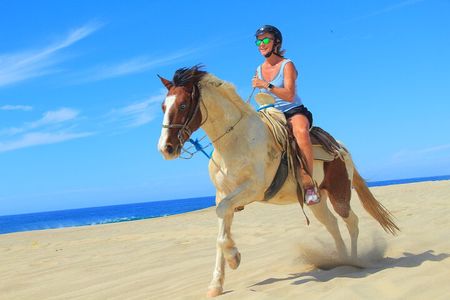 Cabo Shore Excursion: Beach Horseback Ride & Tequila Tasting