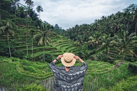 Ubud Trip, The Best of Ubud in a day - All Inclusive 