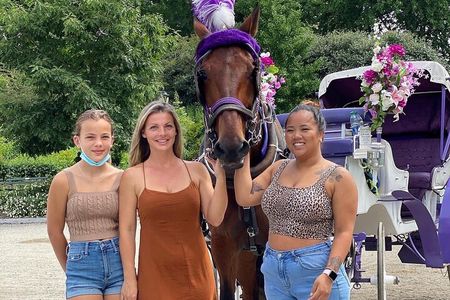 OFFICIAL NYC Central Park Horse Carriage Rides 