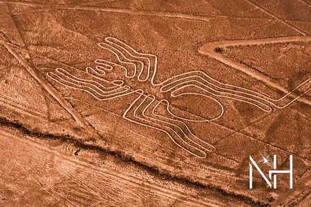 The Nazca Lines flight tour & Viewpoint Stops at Palpa (Private)