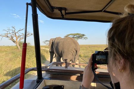 Day trip Safari from Zanzibar to Mikumi by Flight