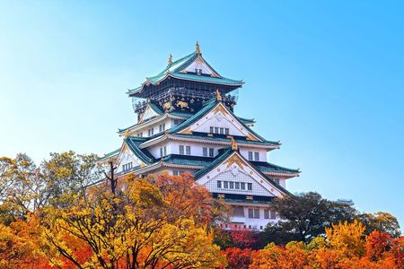 Best Private Osaka Walking Tour With A Guide 100% Personalised