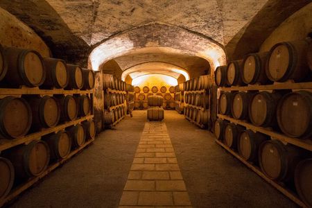 Historical Cellar Visit and Wine Tasting in Salento