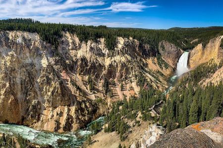 Private Yellowstone Highlights Tour