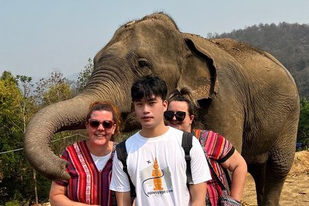 1 Day Eco Elephant Excursion