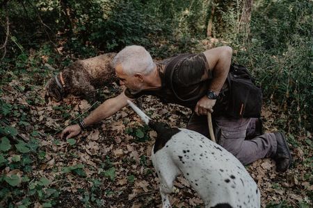 Truffle Hunting in Tuscany
