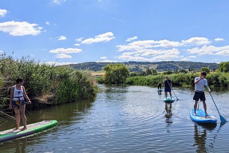 Stand-up Paddleboard SUP Safari on The River Avon For Beginners