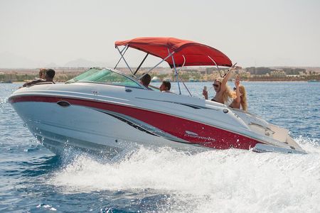 Private Speedboat Swim with Dolphins, Water Sports - Hurghada