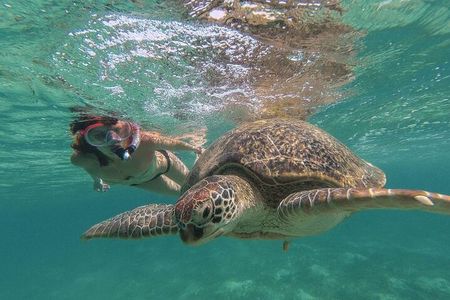 Marsa Mubarak Sea Snorkeling Boat Trip From Marsa Alam