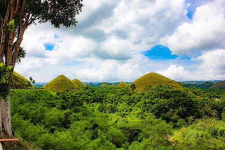 The tour of the must-see sites of Bohol