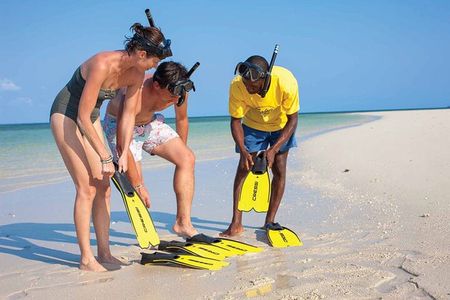 Luxury Swimming with DOLPHINS IN MNEMBA and LUNCH 