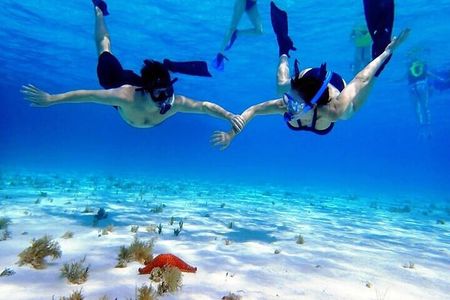Private Tour in Cozumel El Cielo Sandbar and Reef Snorkeling