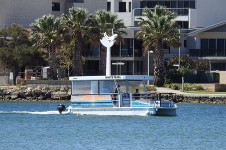 1 Hour Deluxe Scenic Dolphin Cruise