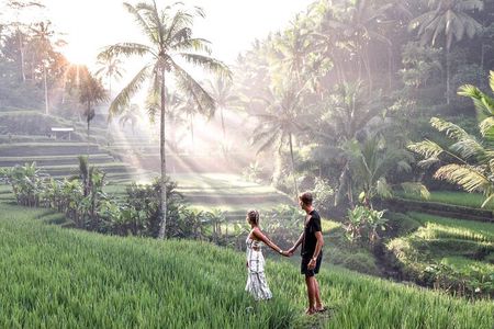 Bali Private inclusive tour: Best of Ubud in a Day