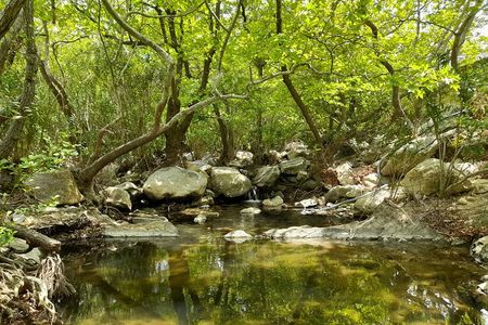 Riverbank Adventure in Naxos (Kinidaros - Eggares)