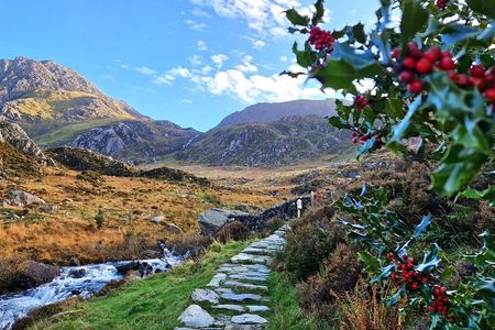 North Wales & Caernarfon Castle Full-Day Tour from Manchester