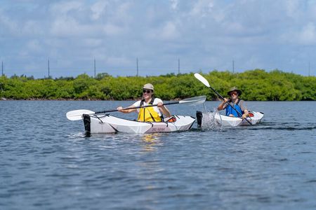 Small Group Glass Bottom Kayak Adventure- Cayman Islands 