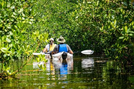 Small Group Glass Bottom Kayak Adventure- Cayman Islands 